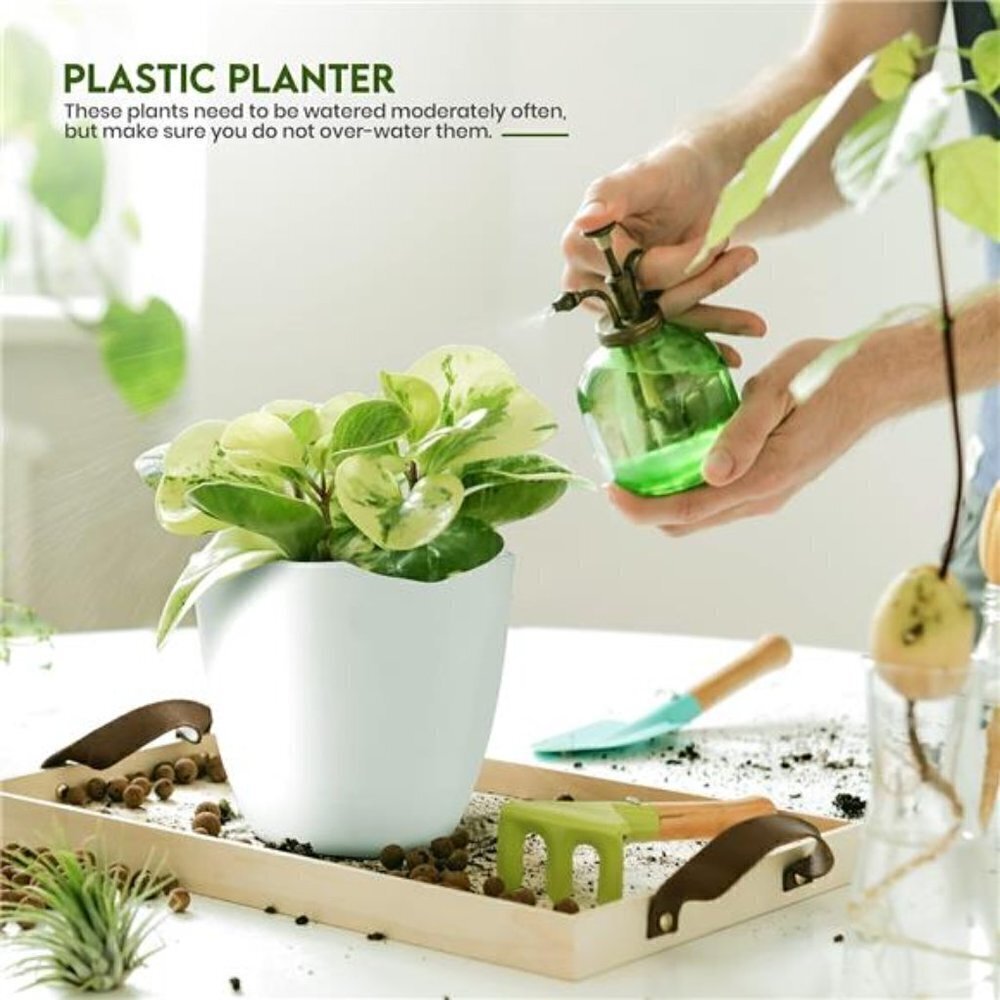5X Plant Pots Drainage Home Decor Flower Indoor Planter Cactus, Succulents White - Picture 4 of 7